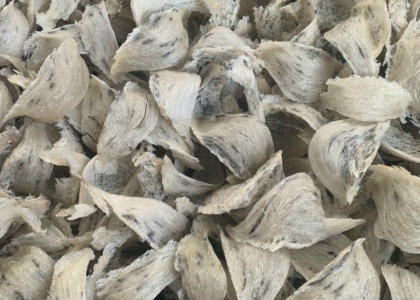 MUA BÁN YẾN SÀO TOÀN QUỐC