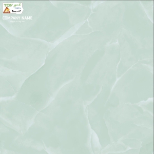 Gạch lót 60x60 M6510