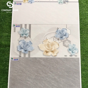Gạch ốp tường (30x60) TP.T3603BS
