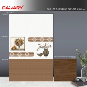 Gạch ốp tường (30x60) TP.CB36037 men bóng