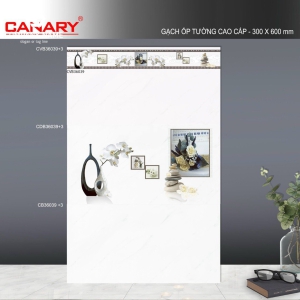 Gạch ốp tường (30x60) TP.CVB36039+3 men bóng