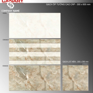 Gạch ốp tường (30x60) TP.CB36025 men bóng
