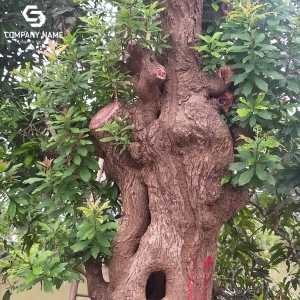 CÂY LỘC VỪNG GIÁ RẺ TẠI TÂN AN