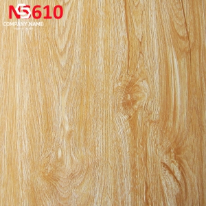 GẠCH BÓNG KÍNH LÓT NỀN 60X60 