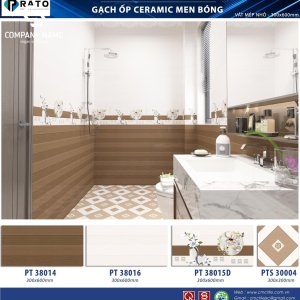 Gạch ốp tường (30x60) PT38014 men bóng 