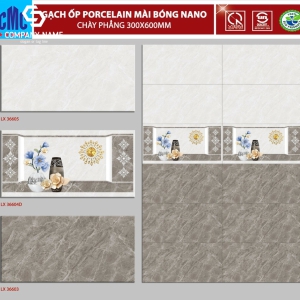 Gạch ốp tường (30x60) LX36605 đá bóng kính