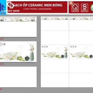 Gạch ốp tường (30x60) VTH.LD3601 men bóng