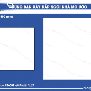 Gạch lát nền (60×60) HP.FB6001 đá bóng kính