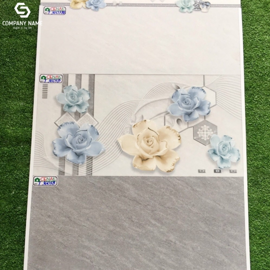 Gạch ốp tường (30x60) TP.T3603BS