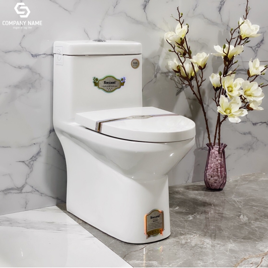 CẦU KHỐI SOSANI30