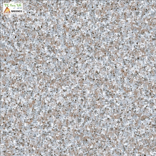 Gạch lót 60x60M65903