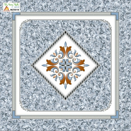 Gạch lót 50x50 M5519