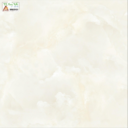 Gạch lót 60x60 M6501