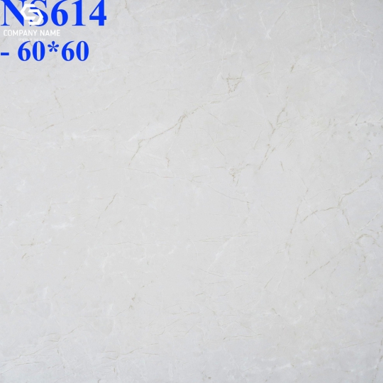 GẠCH BÓNG KÍNH LÓT NỀN 60X60 