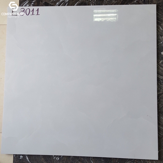 GẠCH BÓNG KÍNH 80X80 