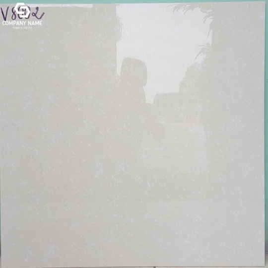 GẠCH BÓNG KÍNH 80X80 