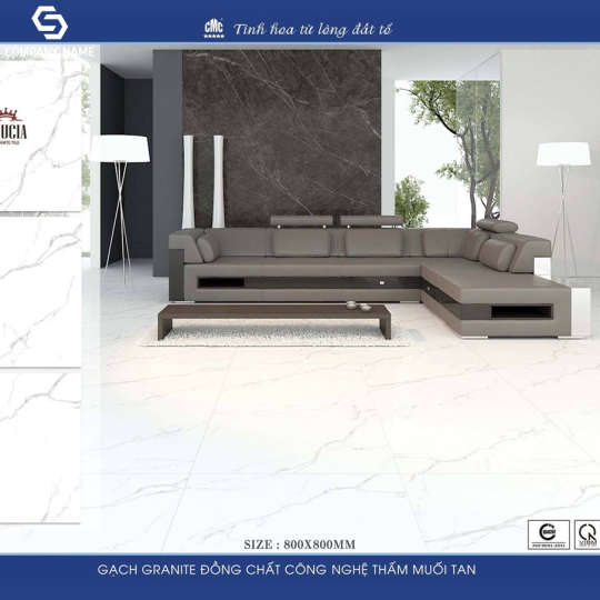GẠCH BÓNG KÍNH 80X80 