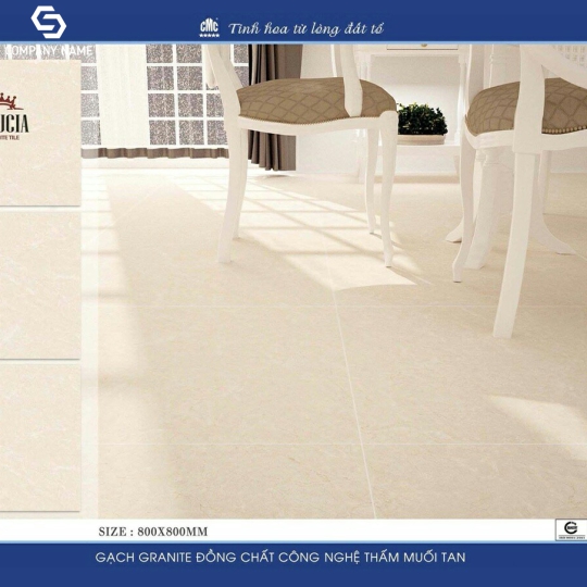 GẠCH BÓNG KÍNH 80X80 